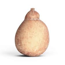 Caciocavallo Del Gargano